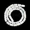 Natural Trochus Shell Beads Strands BSHE-Z003-18-2