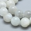 Natural White Moonstone Beads Strands G-F674-08-8mm-3