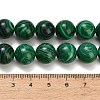 Dyed Synthetic Malachite Beads Strands GG-CBA6382-A03-12mm-6