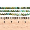 Natural HuBei Turquoise Beads Strands G-D100-A01-3mm-5