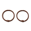 Spray Painted Iron Hinged Binder Rings IFIN-P040-01A-2