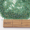 TOHO Japanese Seed Beads X-SEED-K006-2mm-242-3