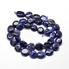 Natural Sodalite Nuggets Beads Strands G-J336-09-2
