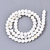 Natural Freshwater Shell Beads Strands SHEL-N026-67-2