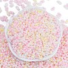 Glass Seed Beads SEED-K010-03I-3