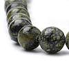 Natural Serpentine/Green Lace Stone Beads Strands G-S259-15-8mm-1-3