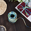 6 Colors Raffia Paper Cords OCOR-WH0063-110D-7