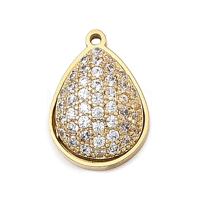 304 Stainless Steel Micro Pave Cubic Zirconia Charms LS-STAS-I356-04G-05-1