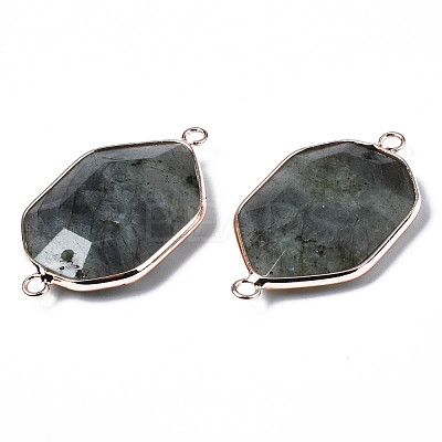 Natural Labradorite Links Connectors G-S359-280B-1