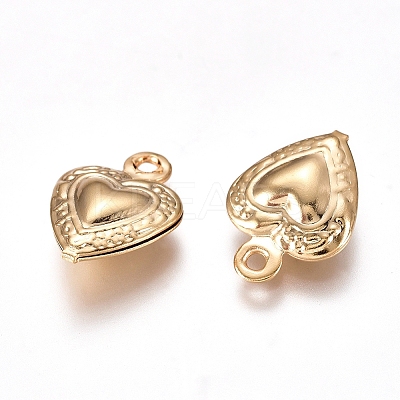 304 Stainless Steel Charms X-STAS-I138-14G-1