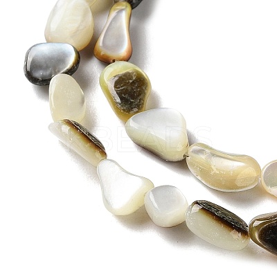 Natural Black Lip Shell Beads Strands SHEL-G020-04-1