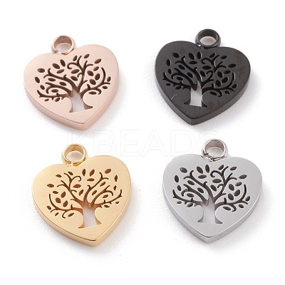 304 Stainless Steel Charms STAS-Y002-05-1