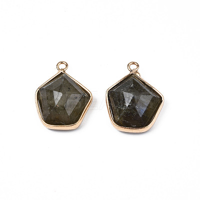 Natural Labradorite Pendants G-S359-381-1