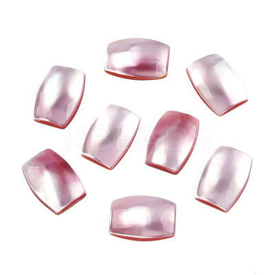 Natural Turbo Cornulus/Top Shells Cabochons SSHEL-N003-153B-1