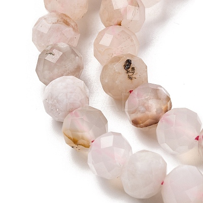 Natural Cherry Blossom Agate Beads Strands G-K380-A43-01-1
