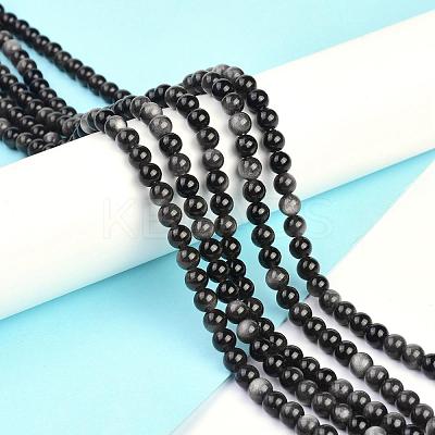 Natural Silver Obsidian Beads Strands G-D083-01D-1