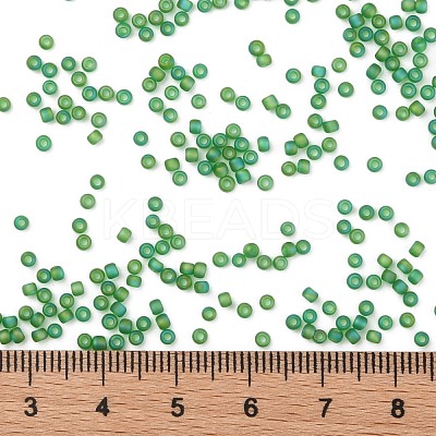 TOHO Round Seed Beads SEED-JPTR11-0167BF-1