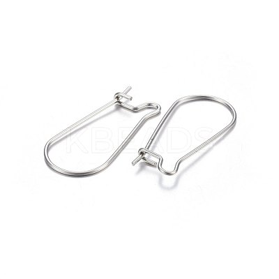 316L Surgical Stainless Steel Hoop Earrings STAS-P210-28P-1