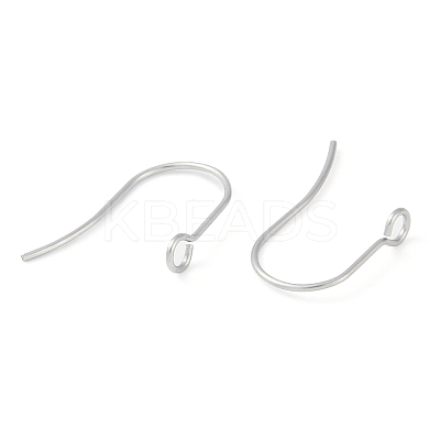 Tarnish Resistant 316 Surgical Stainless Steel Earring Hooks STAS-P162-13P-B01-1