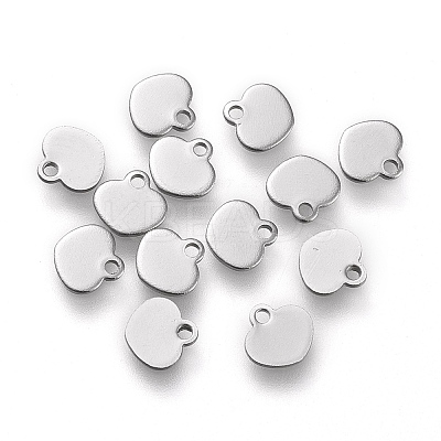 Non-Tarnish 304 Stainless Steel Charms LS-STAS-K195-14P-1