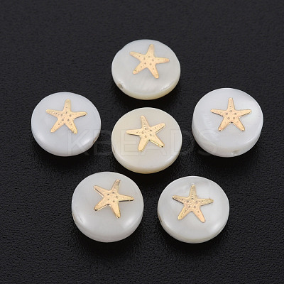 Natural Freshwater Shell Beads SHEL-S278-063-1