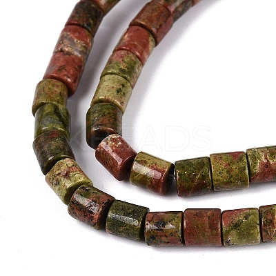 Natural Unakite Beads Strands G-Q606-60A-02-1