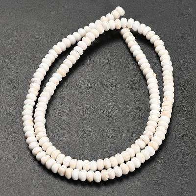 Natural Magnesite Beads Strands G-Z110-B08-2x4mm-1