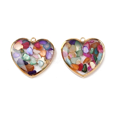 304 Stainless Steel Pendants STAS-C146-05G-02-1
