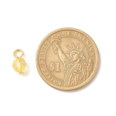 Faceted Transparent Acrylic Charms PALLOY-JF01601-02-1