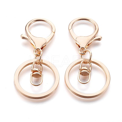 Alloy Keychain Clasp Findings IFIN-F151-02G-1