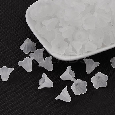 Frosted Acrylic Beads LS-PL692-13-1