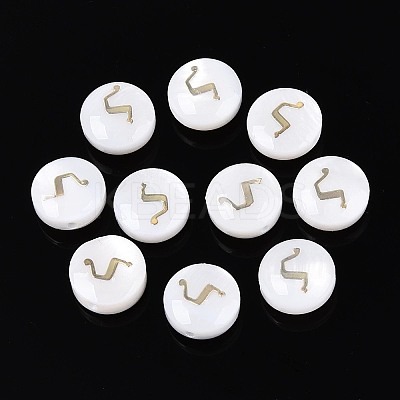 Natural Freshwater Shell Beads LS-BSHE-ZX007-03G-1