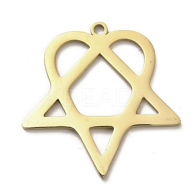 304 Stainless Steel Pendants STAS-B054-07G-1