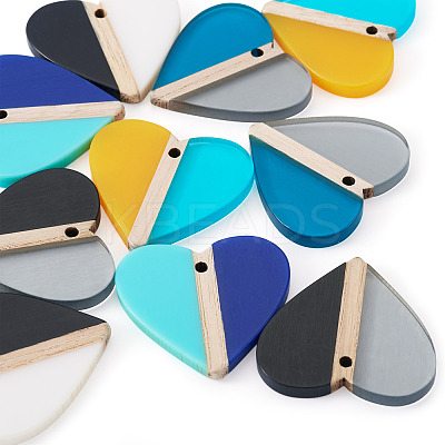 10Pcs 5 Colors Opaque & Transparent Resin & Wood Pendants RESI-TA0004-59-1