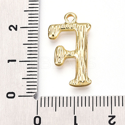 304 Stainless Steel Pendants STAS-N117-01G-F-1