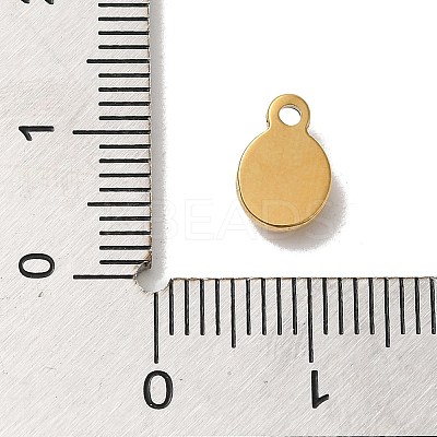 304 Stainless Steel Glass Pendants STAS-B074-02G-04-1