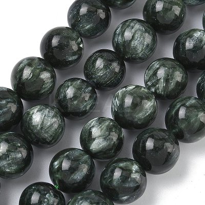 Natural Seraphinite Beads Strands G-C270-O01-13-1