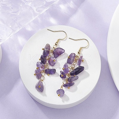 Natural Amethyst Chips Dangle Earrings EJEW-JE05266-01-1