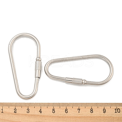 Non-Tarnish 304 Stainless Steel Screw Carabiner Lock Charms STAS-C092-06P-1