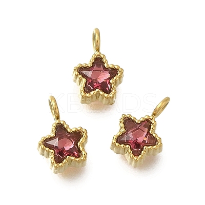 304 Stainless Steel Micro Pave Cubic Zirconia Charms STAS-U027-02G-02-1