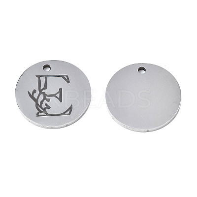 Non-Tarnish 304 Stainless Steel Charms LS-STAS-T059-26P-E-1