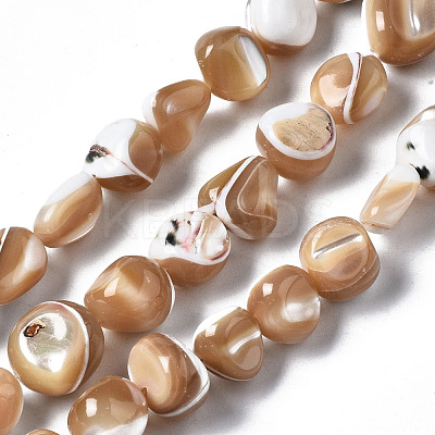 Natural Trochid Shell/Trochus Shell Beads Strands SSHEL-S266-015B-1