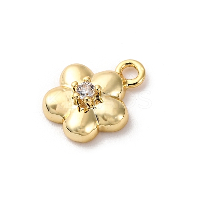 Brass Micro Pave Cubic Zirconia Charms LS-KK-D371-04A-G-1