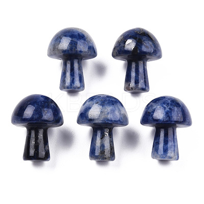 Natural Sodalite GuaSha Stone G-N0325-02V-1