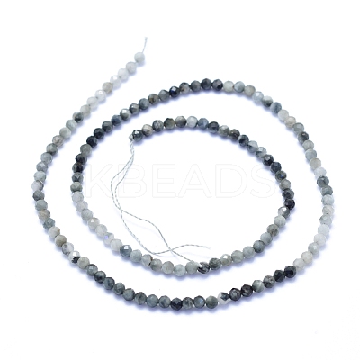 Natural Hawk's Eye Beads Strands G-I279-E14-02-1