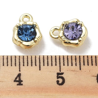 Rack Plating Alloy Rhinestone Charms PALLOY-F311-17G-1