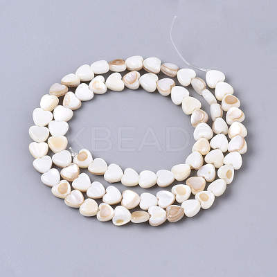 Natural Trochid Shell/Trochus Shell Bead Strands SSHEL-N034-66-1