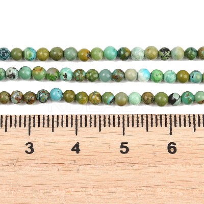 Natural HuBei Turquoise Beads Strands G-D100-A01-3mm-1