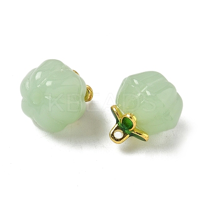 Glass Charms GLAA-P072-04G-06-1