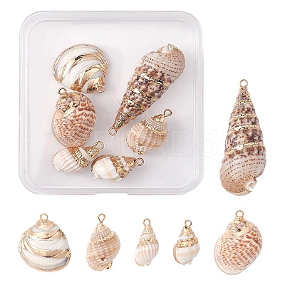 6Pcs 6 Styles Electroplated Natural Spiral Shell Pendants SSHEL-YW0001-06-1